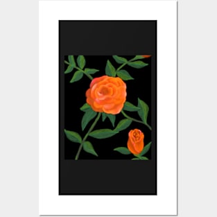 Peach roses Posters and Art